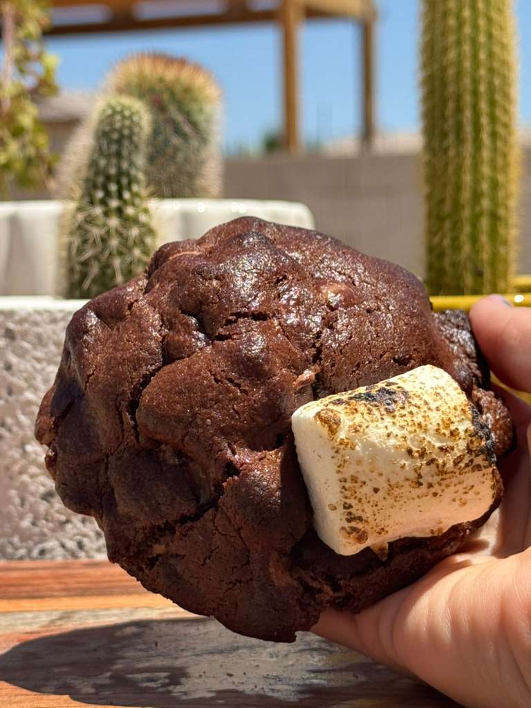 Midnight Mocha | Cactus Bakery